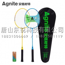安格耐特（Agnite）F2101 羽毛球拍男女拍套装 2支装