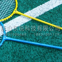 安格耐特（Agnite）F2101 羽毛球拍男女拍套装 2支装