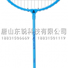 安格耐特（Agnite）F2101 羽毛球拍男女拍套装 2支装