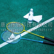安格耐特（Agnite）F2101 羽毛球拍男女拍套装 2支装