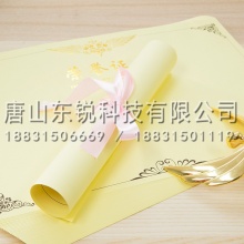 得力（deli）3230荣誉证书内芯（包）