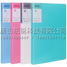得力(deli) 5055亮彩系列A4单强力夹+插页袋硬文件夹 不锈钢夹具试卷资料诗朗诵签约夹板 