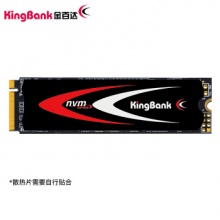 金百达 KP230 256GB SSD固态硬盘 M.2接口(NVMe协议)